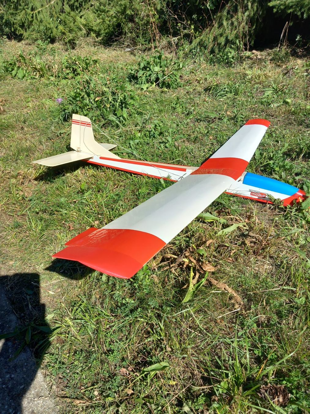 Multiplex RC Modellbau: RC Modell Multiplex Filius – Gebraucht aus Givisiez von Reiffel 1