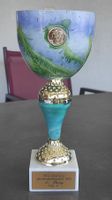 Pokal