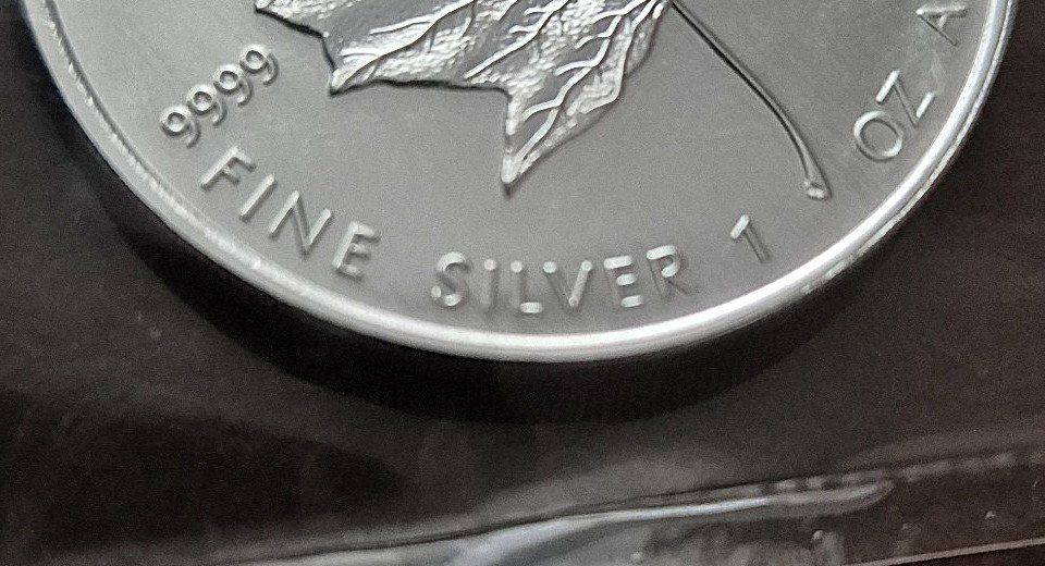 Alle Münzen: 1 Unze Silbermünze "Maple Leaf", Canada 2008, eingeschweisst – Neu und originalverpackt aus St. Moritz von Guenteratch 3