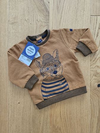 Pulli