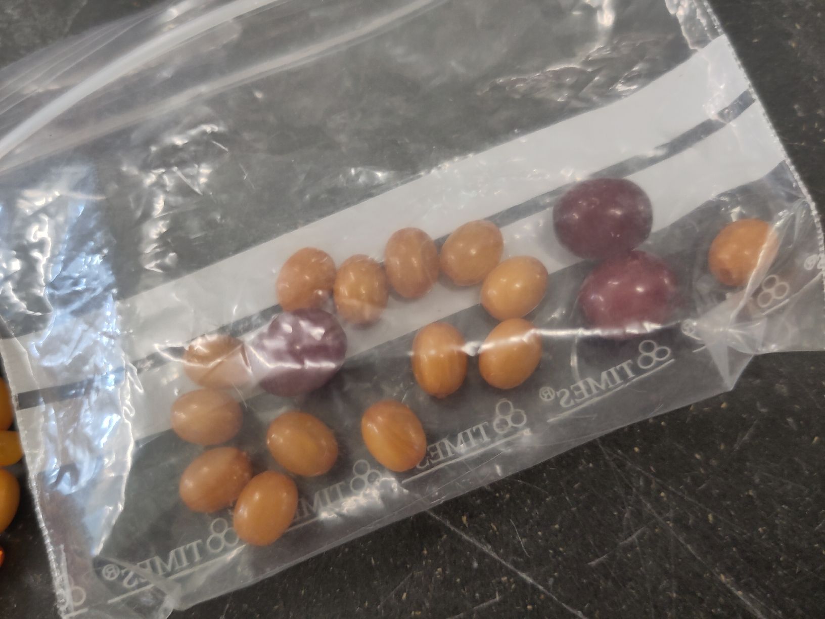 Catenine: Bakelit Halskette verschiedene Orange/Rottöne – Usato da Pratteln venduto da Cartonsducoeur_bl 1