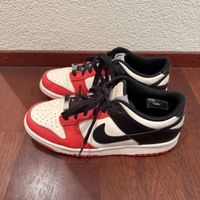 Nike Dunk NBA 75th Anniversary 40