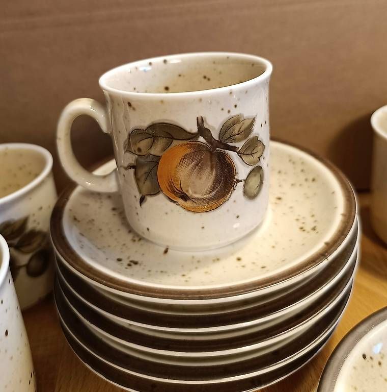 Set di piatti: Winterling Kirchenlamitz Bavaria Kaffee-Set, 15-teilig – Usato da Dielsdorf venduto da sanboss 2