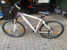 TREK Mountainbike 46