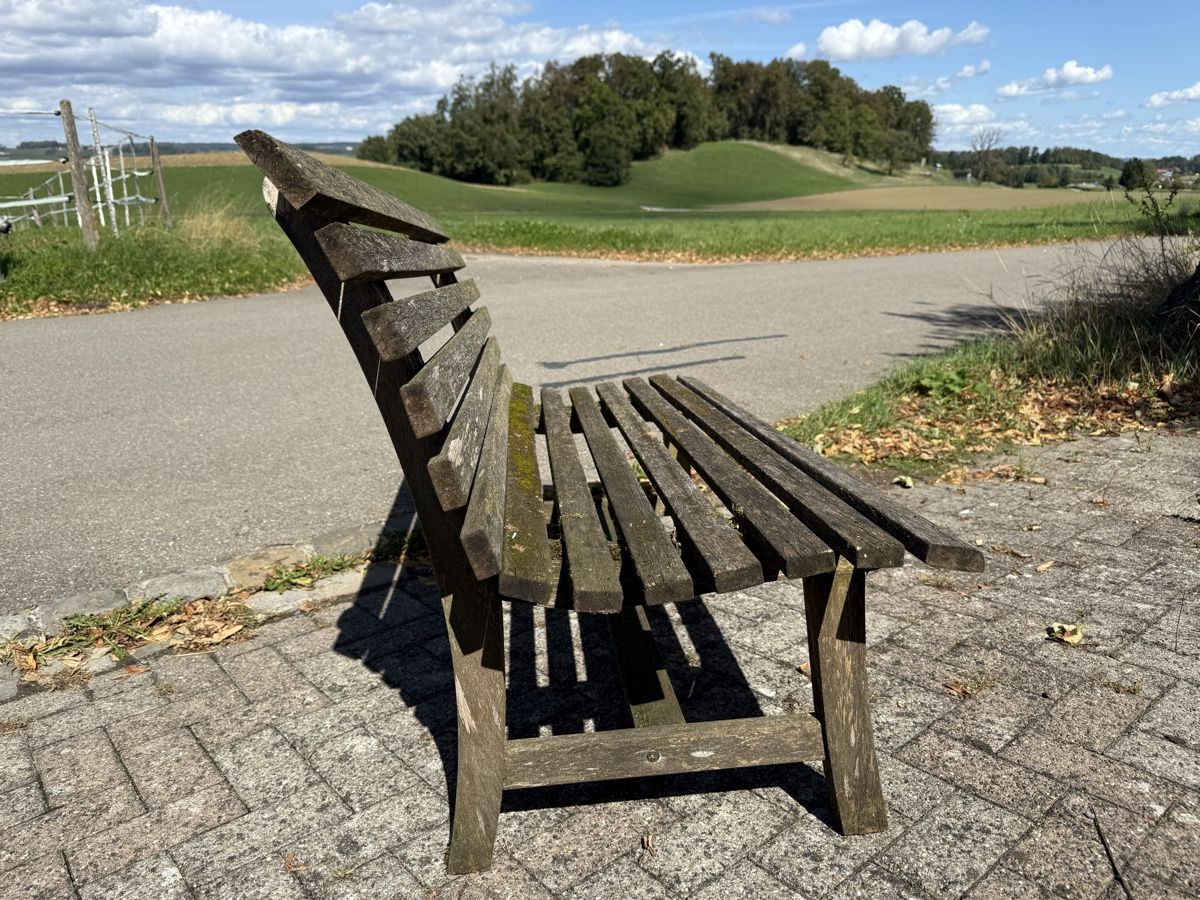 Panchine: Gartenbank Holz gebraucht – Usato da Menzengrüt venduto da SC1973 4