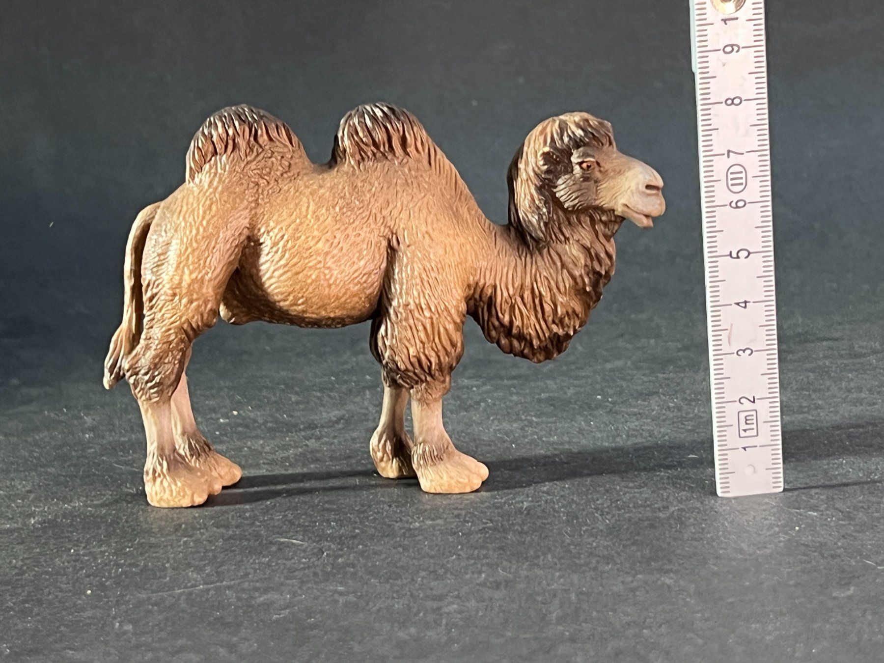 Schleich Statuette: Schleich Trampeltier Rarität Kamel – Usato da Ennetbaden venduto da mapa05 1