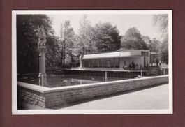 ST. GALLEN - Volière im Stadtpark - 1951