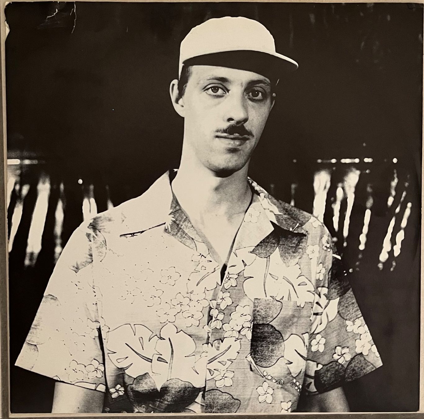 Dischi in vinile: TOM NOVEMBRE - TOILE CIRÉE – Usato da Bussigny venduto da vinyl-pas-cher 4