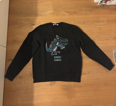 SJYP Jumper - Dinosaur Design - Size Medium 🦖🦕