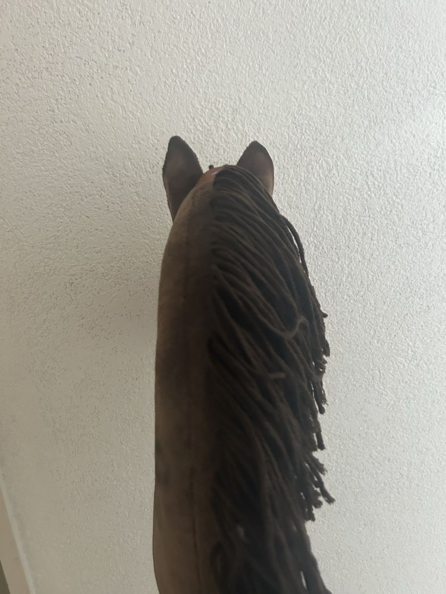 Jouets: Hobby horse – Neuf (Voir description) à Busswil TG par pipolina 2