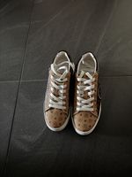 Pollini