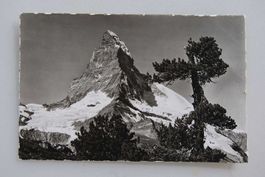 AK Riffelalp ob Zermatt, Matterhorn