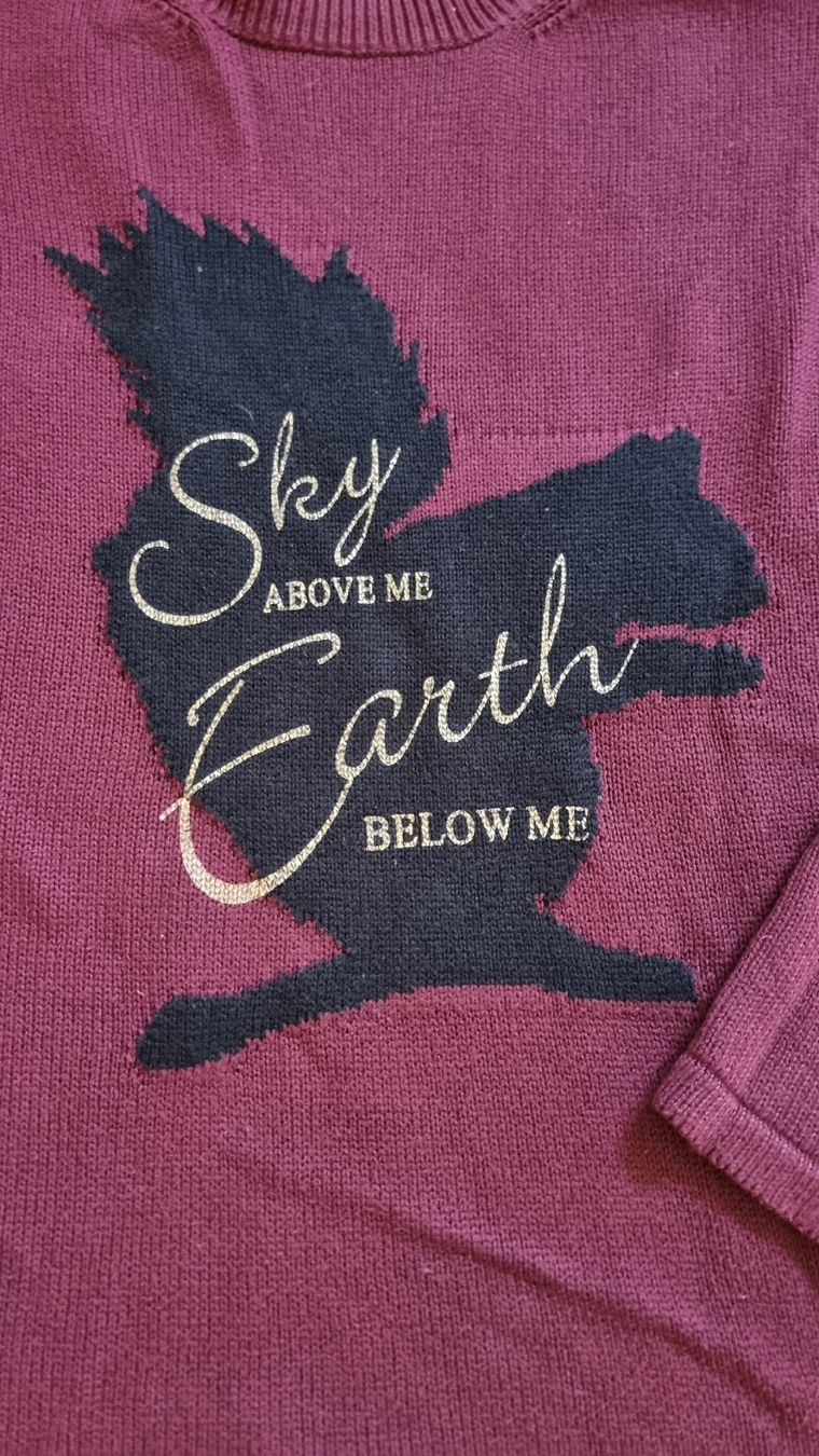 Pulls & Sweat-shirts: Herbstpullover Eichhörnchen Gr.40/42 weinrot Damenpulli – D'occasion à Wigoltingen par Zuckerfee84 1