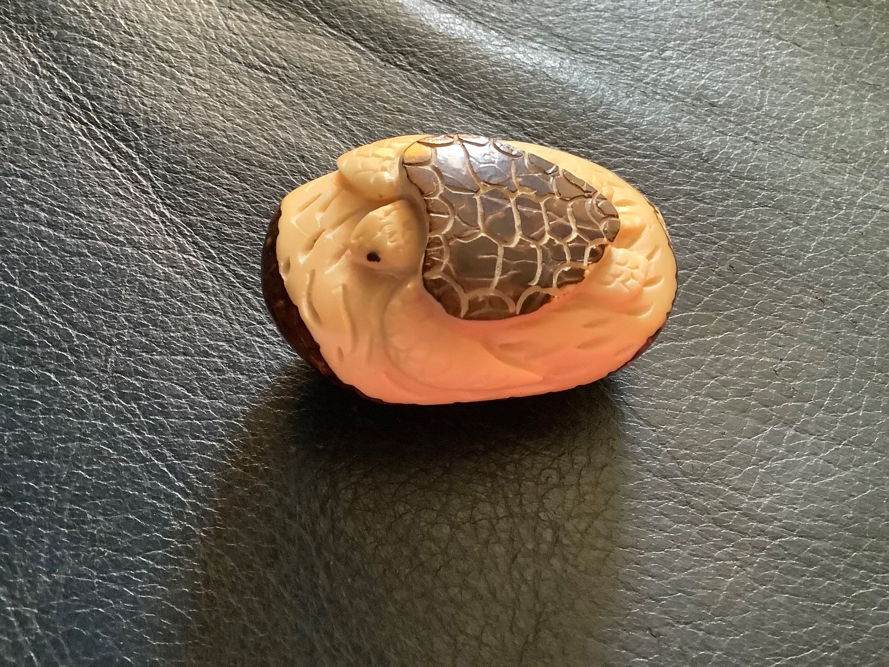 Alle Dekorationen: Pour collection de TORTUES – Gebraucht aus Le Lignon von Gwen77 1