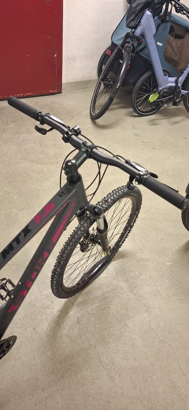 Stoke Velos: Damen Mountainbike von Stoke – Defekt aus Weinfelden von Fun52 2