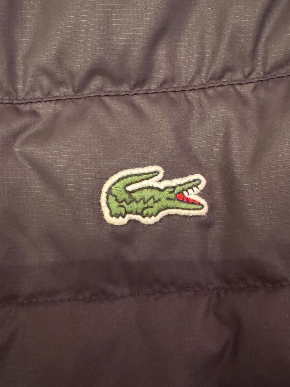 Lacoste Giacche: Lacoste Winterjacke NEU – Nuovo (secondo la descrizione) da Zumikon venduto da Camcam5678 1