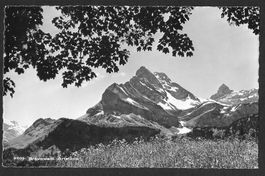 Braunwald Ortstock