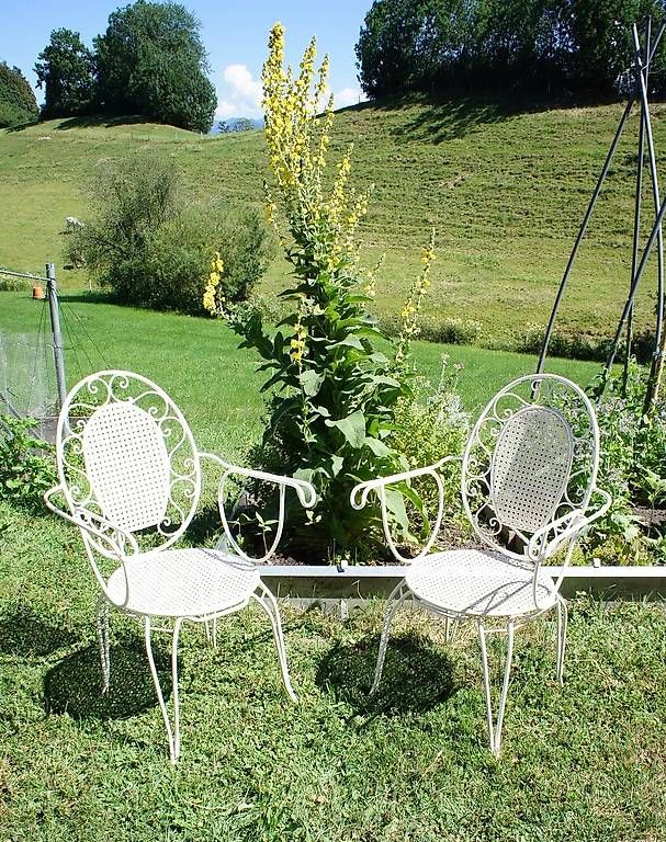 Sedie: Antike Vintage Gartenstühle – Usato da Walzenhausen venduto da OK_1