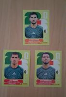 WM-Panini Sticker 2026 Algerien