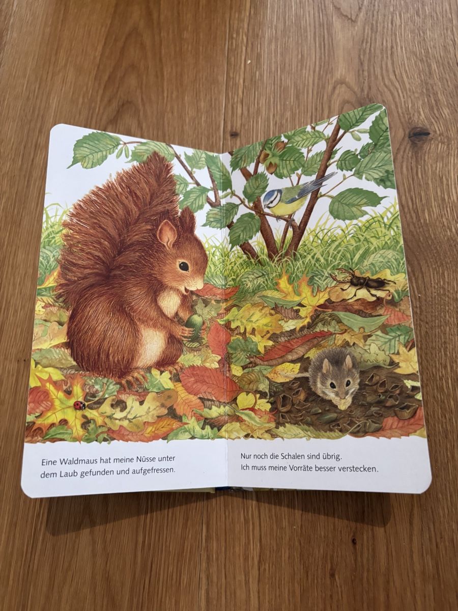 Libri: "Ich bin das kleine Eichhörnchen" - Ravensburger Buch – Usato da Jegenstorf venduto da Annina0506 3