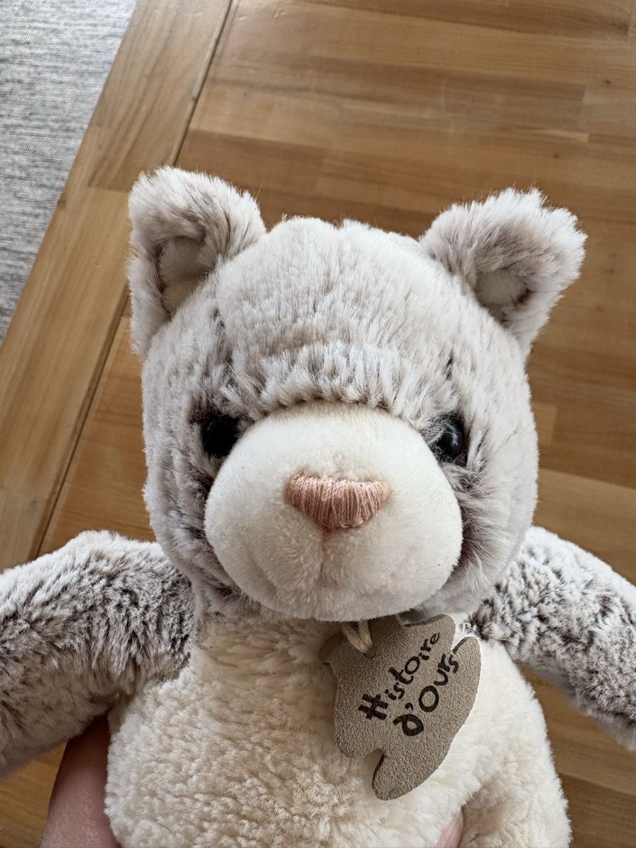 Giocattoli: Plüschtier Katze von Histoire d' Ours Paris – Usato da Rümlang venduto da SchumBru10 3