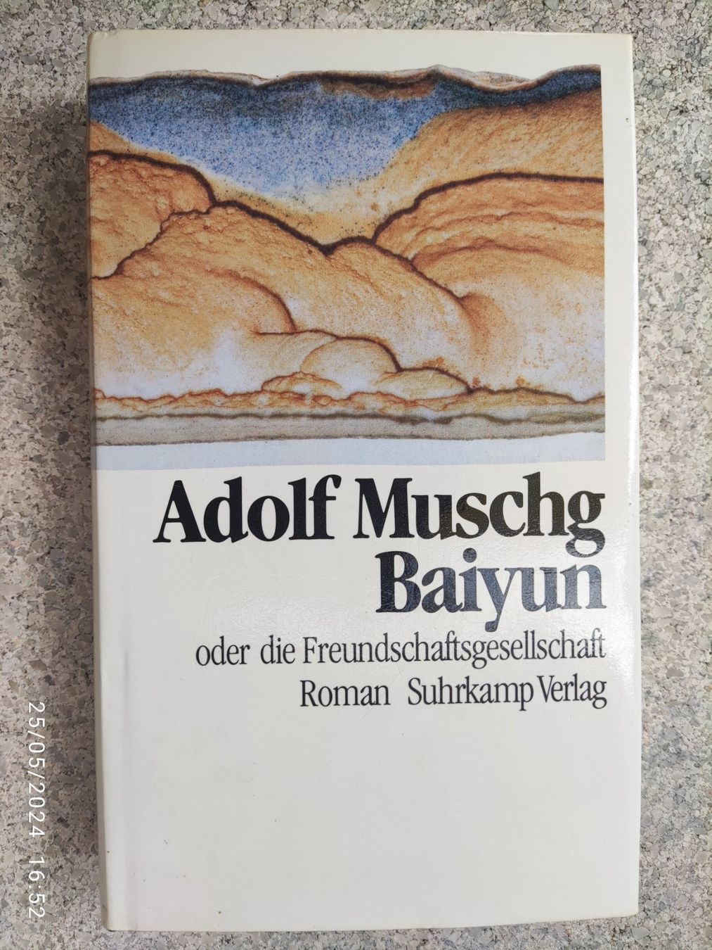 Bücher: Adolf Muschg Baiyun oder Die Freundschaftsgesellschaft – Gebraucht aus Basel von Alacant