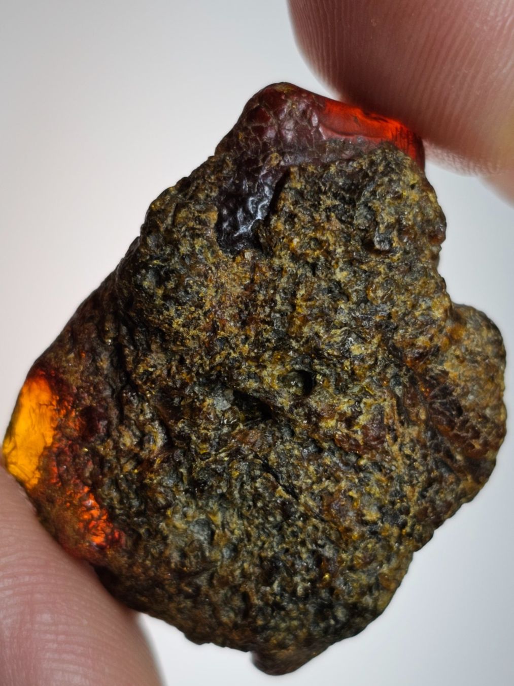 Minerali & Pietre curative: 5,7 gr Rohbernstein echt Roh Bernstein baltisch raw rot – Nuovo (secondo la descrizione) da Riedt b. Erlen venduto da Gottestraene 1