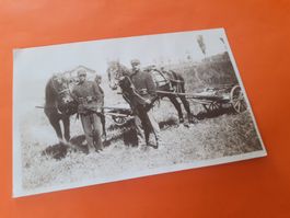 MILITAER - SOLDATE mit ROSS für MG TRANSPORT