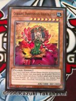 Yu-Gi-Oh Chirubimé, Prinzessin
