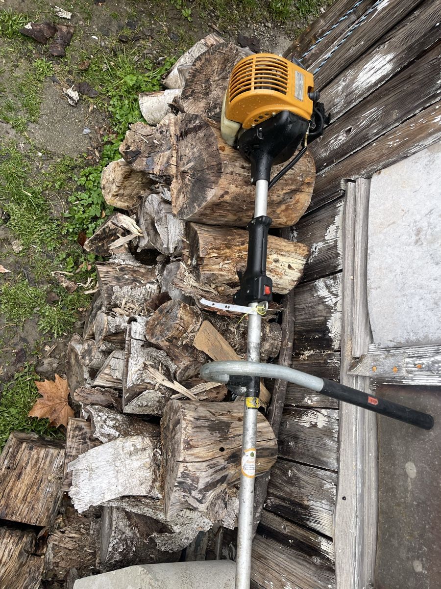 Tagliaerba: Gebrauchter Rasentrimmer – Usato da Bern venduto da SVTools 1