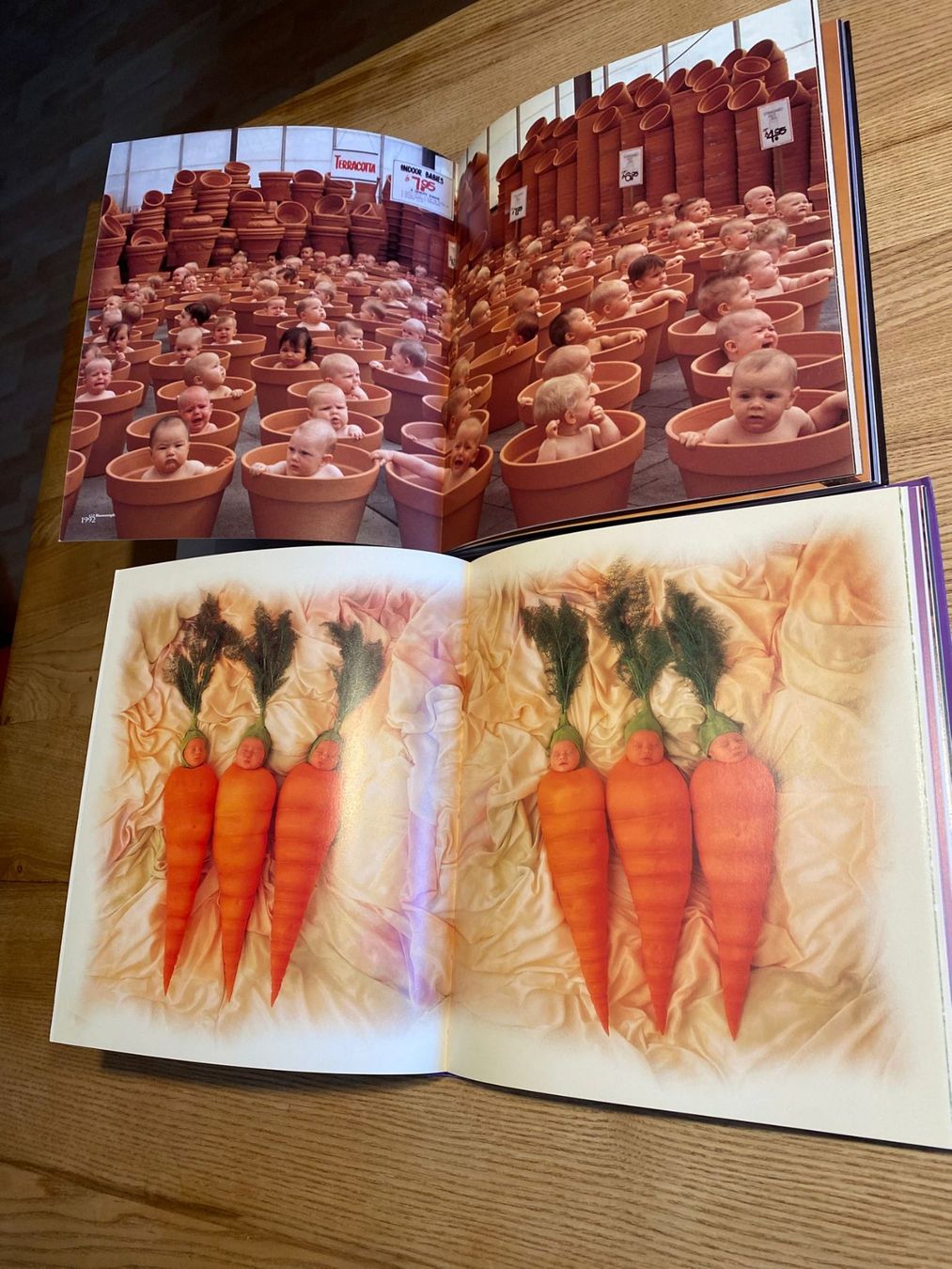Libri: 2 hübsche Bücher von Anne Geddes – Usato da Röschenz venduto da Tashroal 2