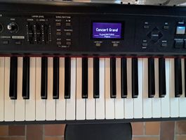Piano numérique Rolan RD - 300 NX - Piano de scène pro