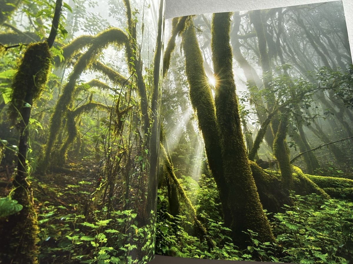 Bücher: Stefan Forster - Chasing Light. Photo Book. NEW! – Neu (gemäss Beschreibung) aus Zürich von Coffeetable88 4