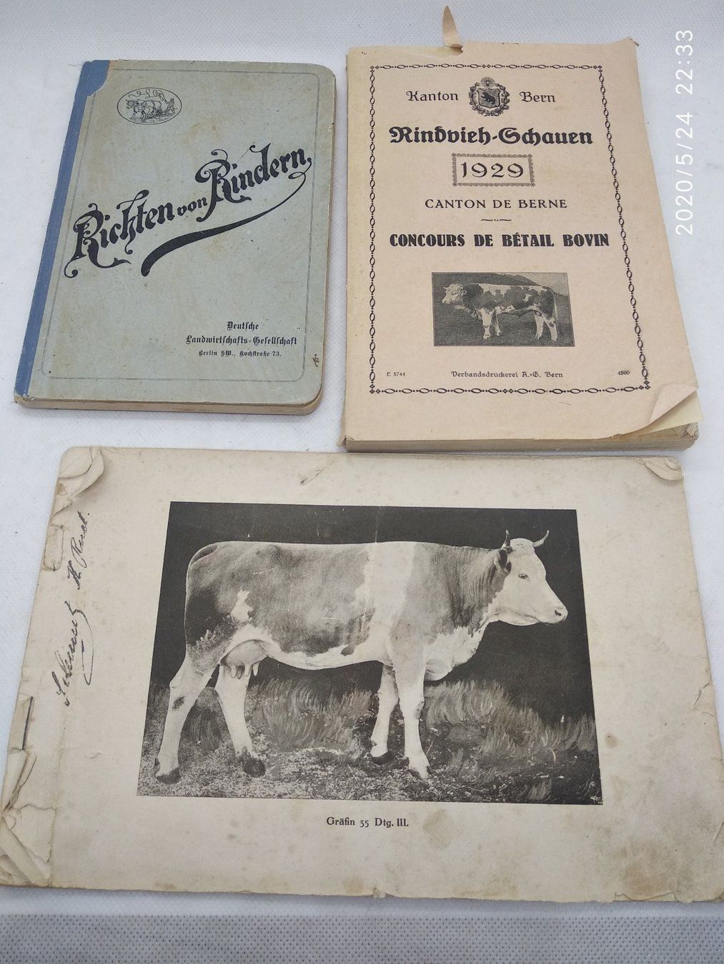 Libri: RICHTEN VON RINDERN – Usato da Goldach venduto da Gaip