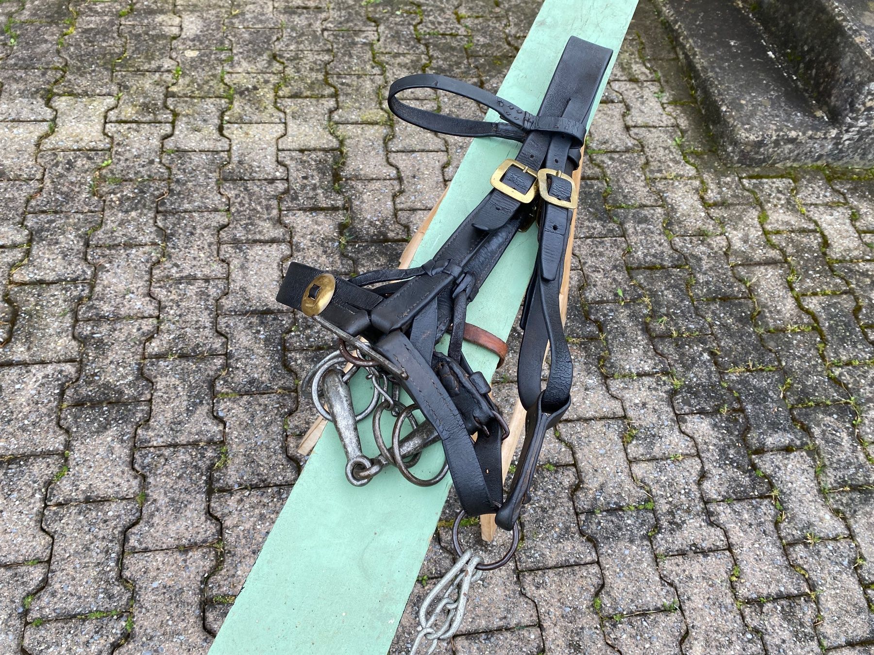 Campanacci mucche: seltenes antikes Säumerhalfter – Usato da Feldbach venduto da Fea1 9