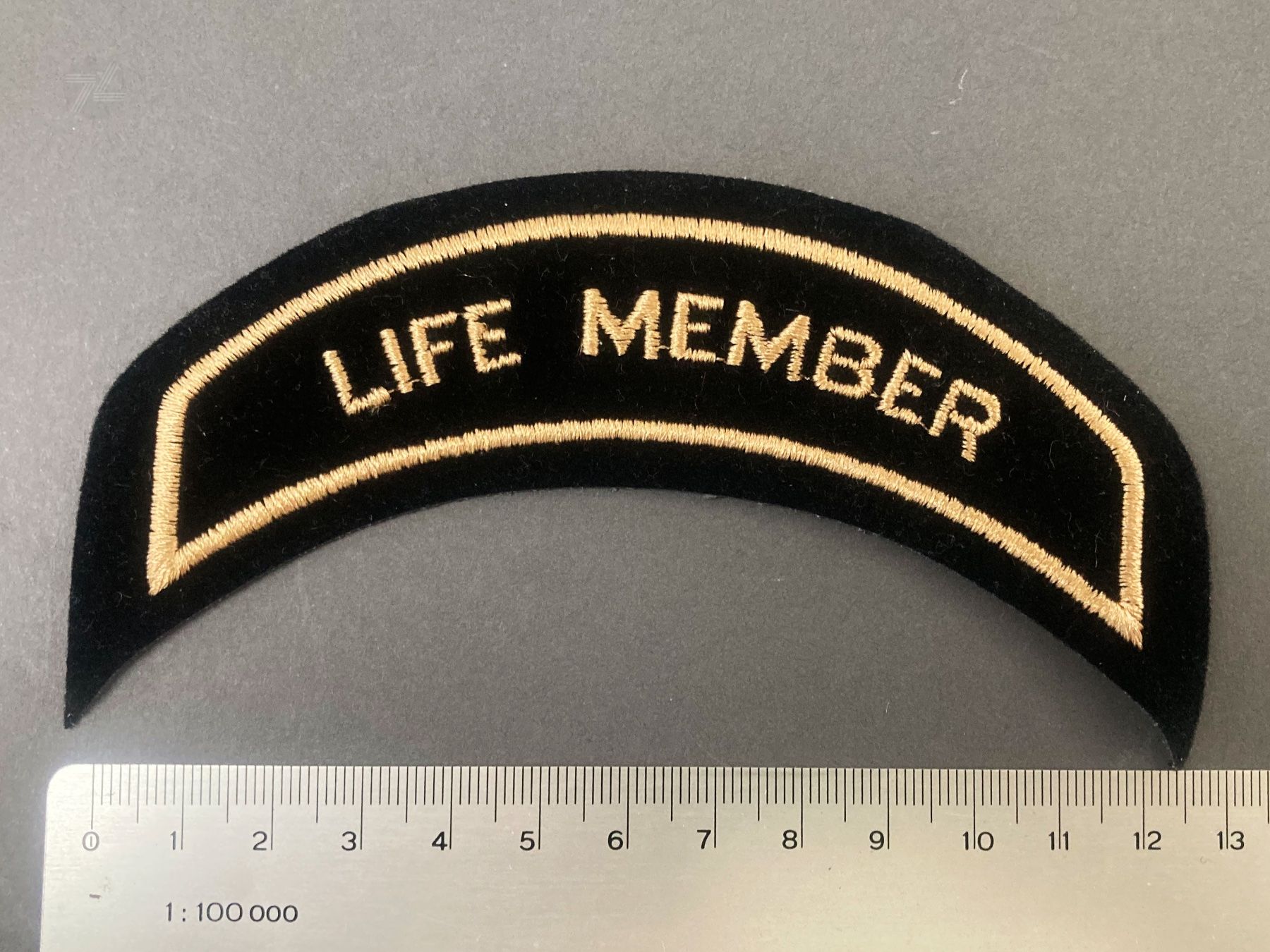 Harley-Davidson Toppe: Harley Davidson HOG Life Member Patch Aufnäher – Nuovo (secondo la descrizione) da Wetzikon ZH venduto da cyan74