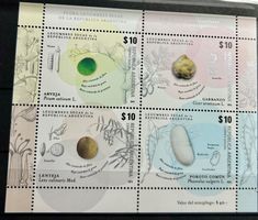 Bloc de timbres: légumes secs d’Argentine 2016