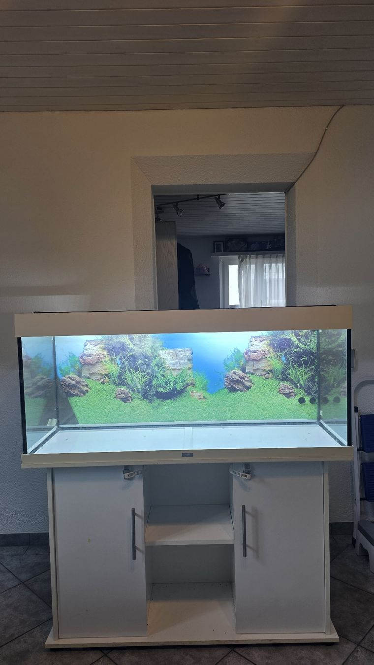 Juwel Aquarium: Juwel Aquarium 240L – D'occasion à Oberhofen TG par Pea_fj7 4