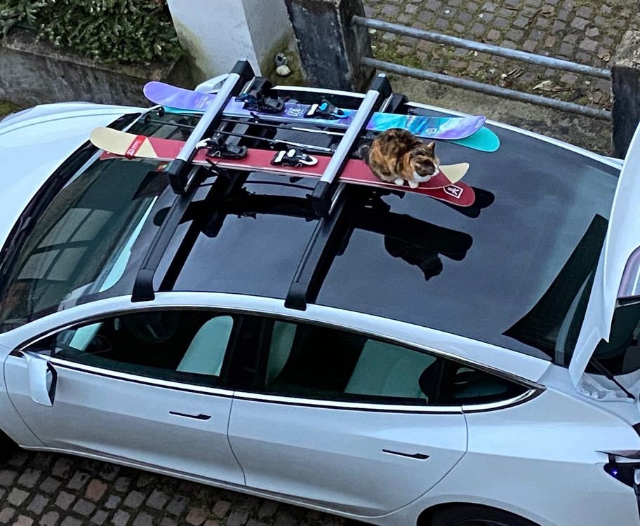 Mossa Skiträger Auf Dem Dachgepäckträger - Silbe Produktbild-Vorschau 2