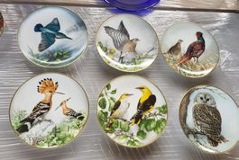 Sammelteller Franklin Mint Limoges-Porzellan " Vögel "