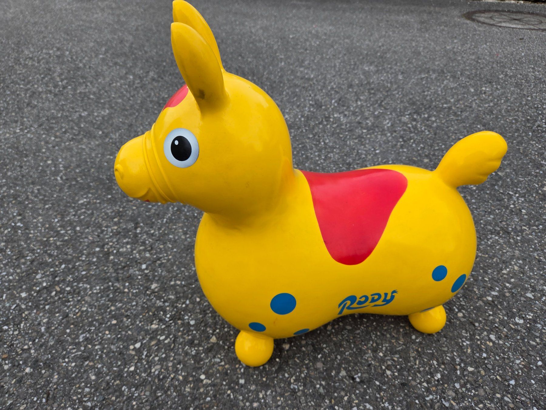 Giocattoli: Jacobs Cavallo Hüpfpderf Rody gelb – Usato da Heinrichswil venduto da frankie19860