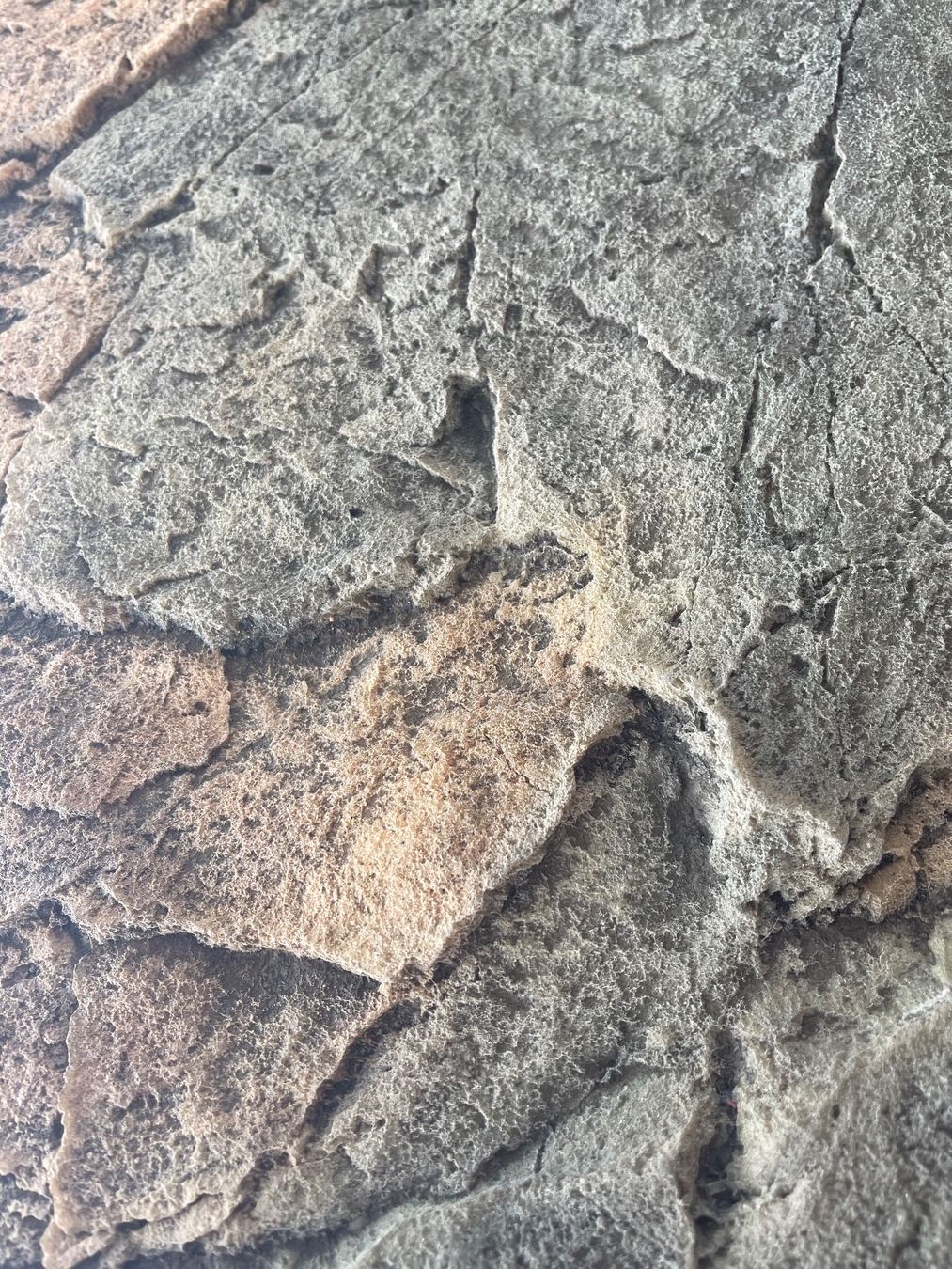 Alle Dekorationen: Back to Nature SlimLine Basalt/Gneiss 3D - 60C – Neu (gemäss Beschreibung) aus Uzwil von Moni4213 3