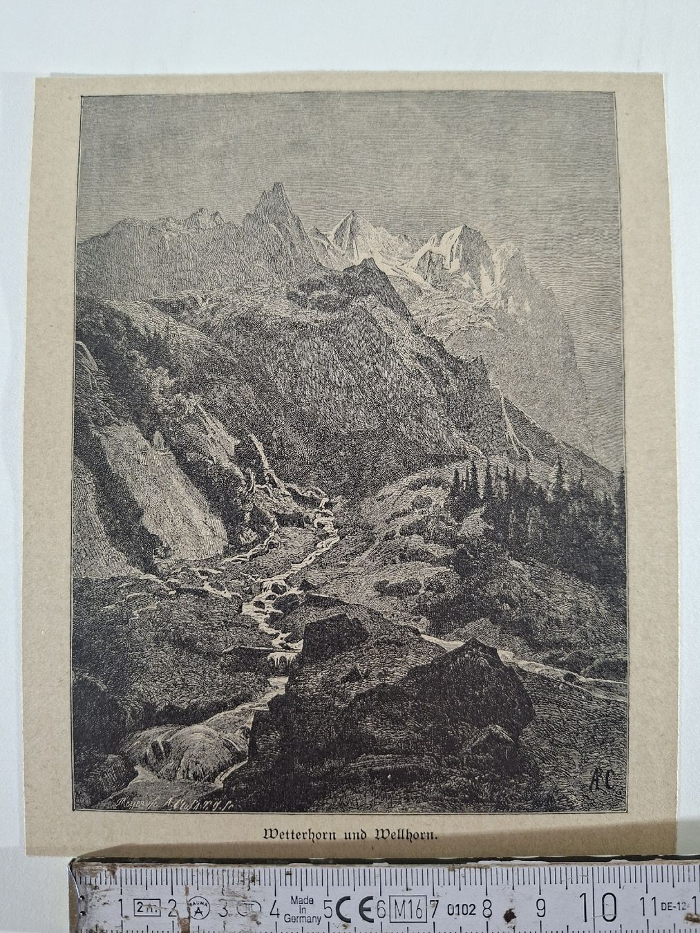 Incisioni: Lot  58 , 10 Stiche  – Usato da Grindelwald venduto da carro5 9