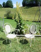 Antike Vintage Gartenstühle