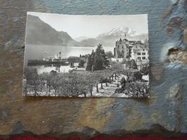 Originale Vintage Ansichtskarte Weggis, Vierwaldstätterse...
