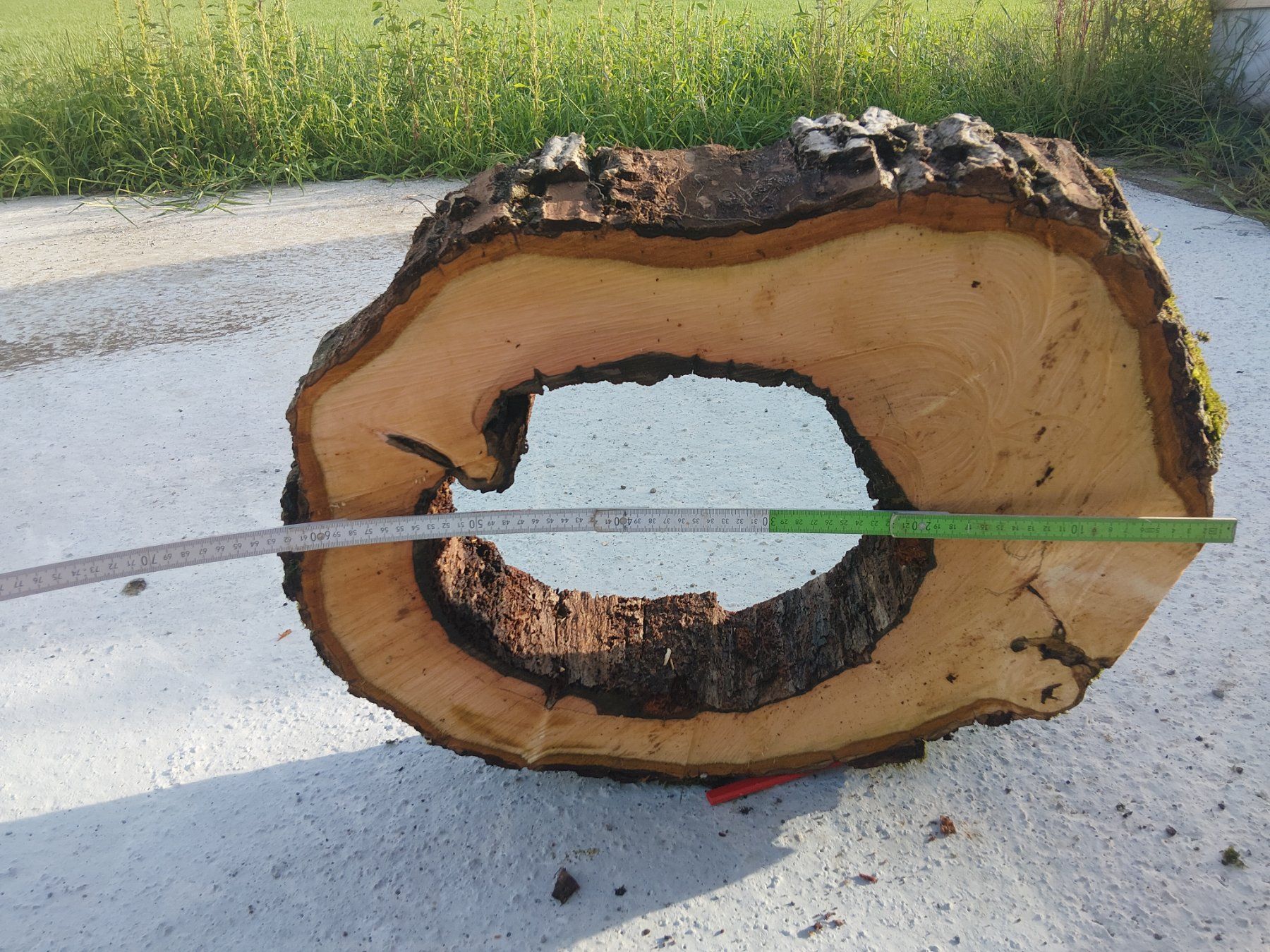 Articoli in legno: Nussbaum Holzscheibe Nr. 9 Dekoration – Nuovo (secondo la descrizione) da Affoltern am Albis venduto da ret_6x6z