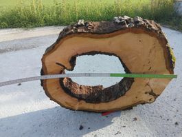 Nussbaum Holzscheibe Nr. 9 Dekoration