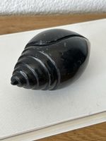 Heilige Shankh Muschel Indien Schwarzer Stein massiv 600g