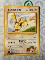 🇯🇵Pokemon Koga's Pidgey GYM Challenge from the Darkness JP