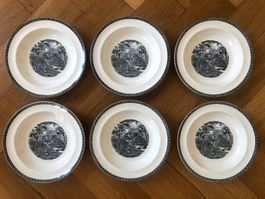 6 Suppenteller Wedgwood "Lugano" Etruria